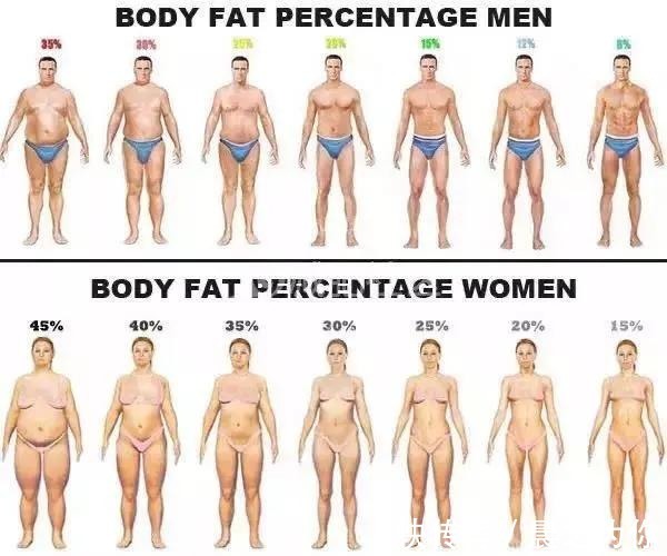 沙漏|22岁山东健美女裁判走红，大围度身材曲线感十足，沙漏身材太迷人