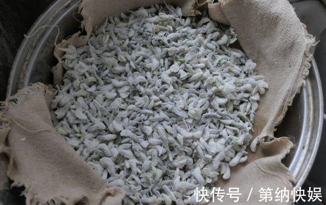 蒸槐花|蒸槐花,不要直接裹面粉,学会正确做法,蒸好不成坨,松散好吃