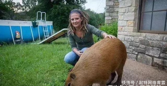 切尔诺贝利|真相:切尔诺贝利巨鼠究竟是谣传还是确实存在?三个疑点,假的!