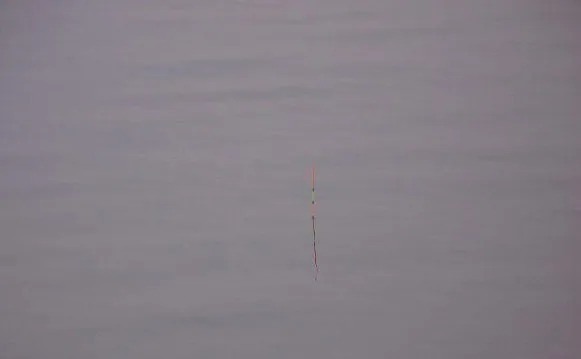 野钓调漂思路详解,了解这些,不愁钓不到鱼!