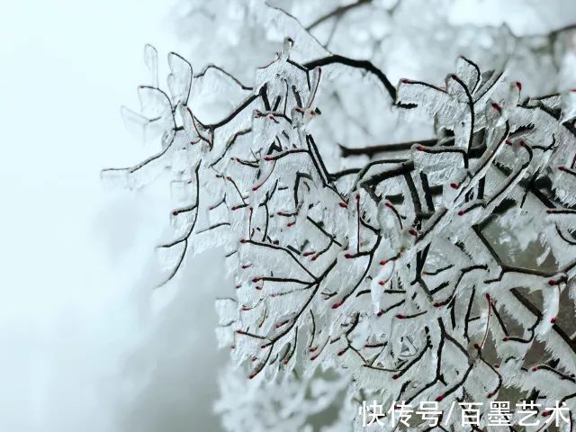 黄山风景区|央视航拍雪后的黄山，犹如仙境，美轮美奂