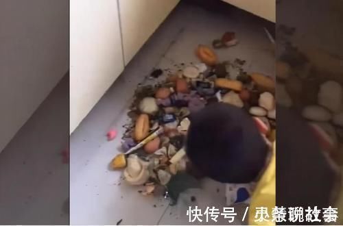 黄金时间|弟弟玩具被抢,向妈妈举报哥哥秘密基地,爸爸:请给孩子完整童年