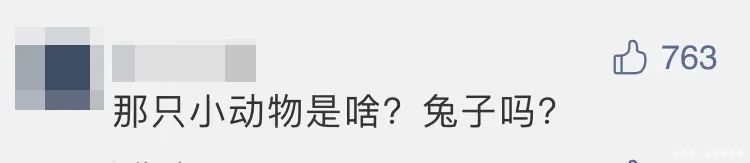 嫦娥 刚回家就被全身贴满“暖宝宝”！今早网友被这张图萌化了