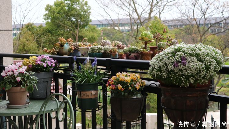 洋房|为了可以养花,我建了座小洋房,终于可以打造梦寐以求的花园了