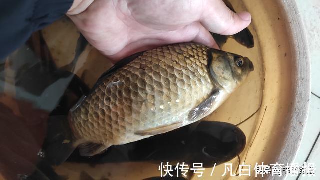 天冷就要用细线?错了!更重要的细节你还没想到,没口再改就晚了