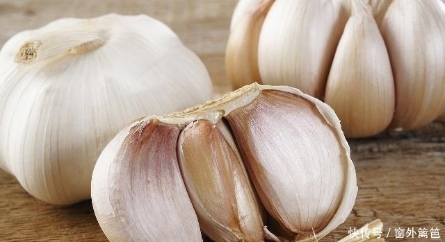 药用价值|天然“胰岛素”找到了，开水泡着喝，或会帮你预防“小糖人”