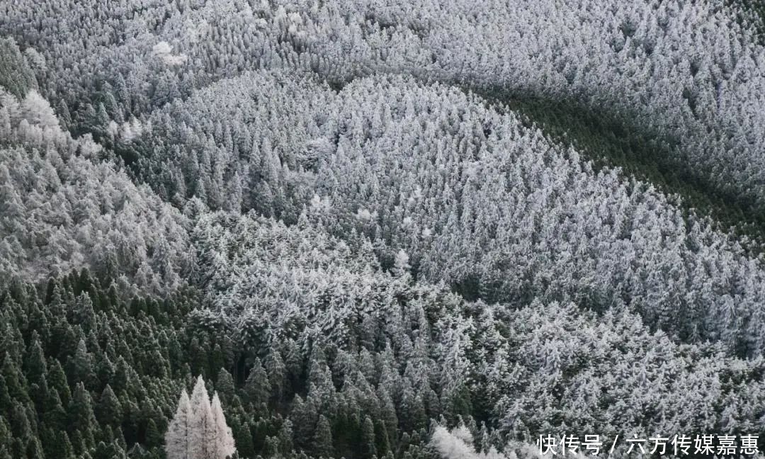 明天|如果明天下雪，陪我去敕木山看冬天的第一场雪吧