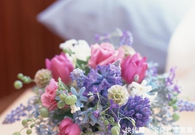 植株|生活可以绿色有情调,卧室养花种草这样摆放,简直秀翻朋友圈了