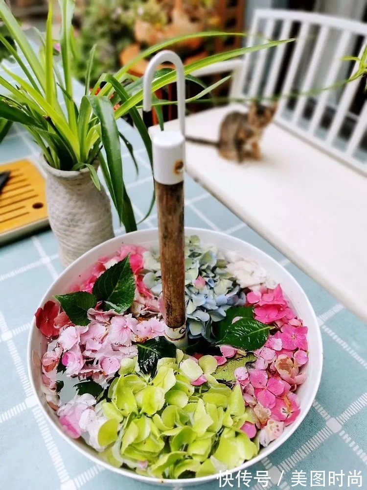 薇月|四年前,接手了朋友带120㎡院子的房子,打造成花园后朋友羡慕了