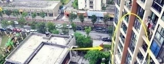 楼层|买电梯房，选“楼层”很重要，我家当初不懂，买了才开始后悔