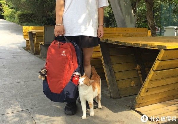 海绵|我的装备清单 篇十二：城市&户外全都hold的住—多特 韦特XV2背包