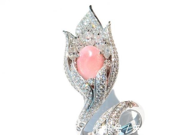 海螺&最珍贵的有机宝石,珍珠中的稀有品种,不了解它,就别说爱珍珠