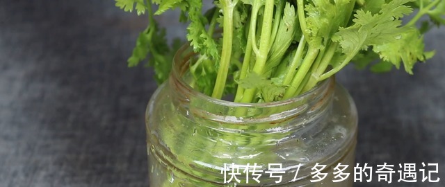 食用盐|保存香菜有诀窍,今天全教你,不烂叶不发黄,半年都新鲜,真实用!