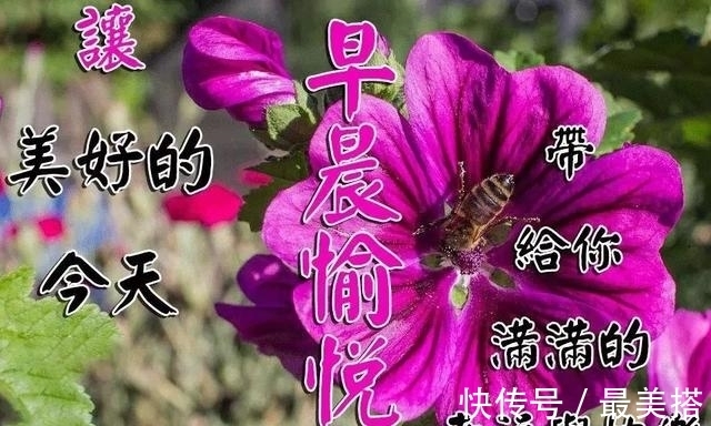 动画|适合发微信的早安问候语 早晨好图片动画表情