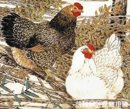 收入|过年前顺利过上富日子的四大生肖,近期突飞猛进,收入拔高不少