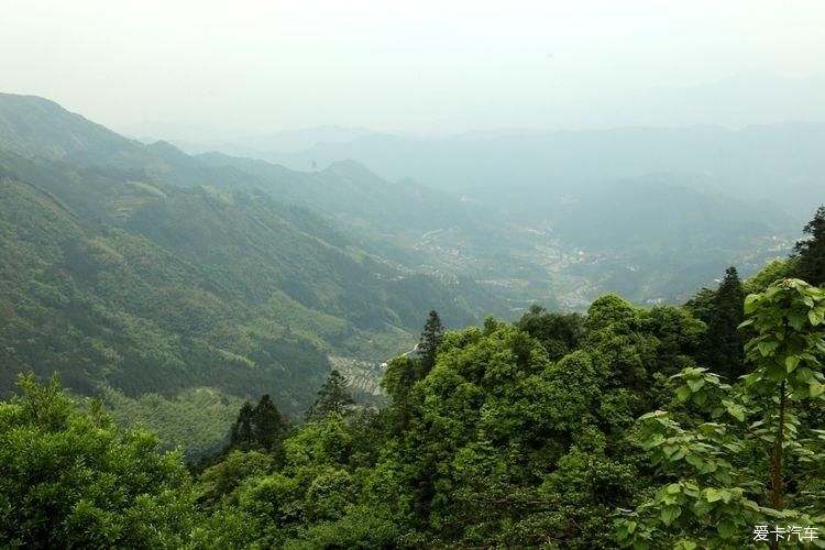 杜鹃花开芬芳自来。