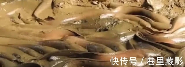 男子将水沟里的水抽干，旁人觉得可疑，结果大开眼界