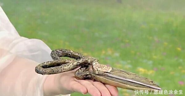 元始|难怪云霄必须死, 她连犯两个错误, 之后, 元始就不打算原谅她了!