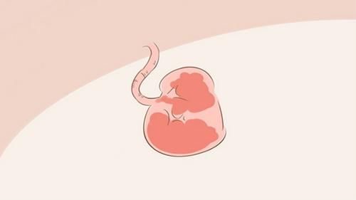  火锅店|吃个“海底捞”就能流产？别急着赖人家火锅店，先查这4个原因