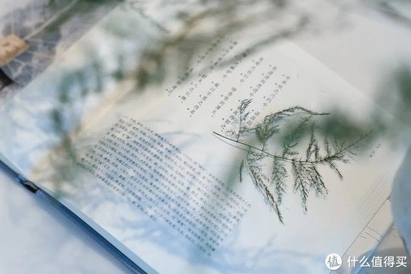 居住|这才是最美中国风,116㎡新中式之居,属于东方人的居住诗意