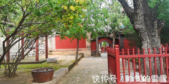 寺院|这里居然珍藏着金泰和五年（公元1205）年的“土堂大佛”