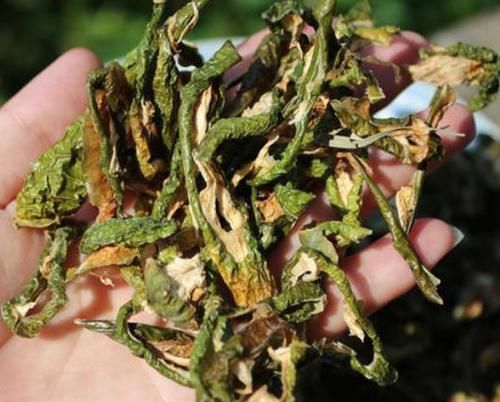 煲汤|这五种蔬菜晒干吃更美味，趁着夏天多囤点，冬天炖肉煲汤是一绝