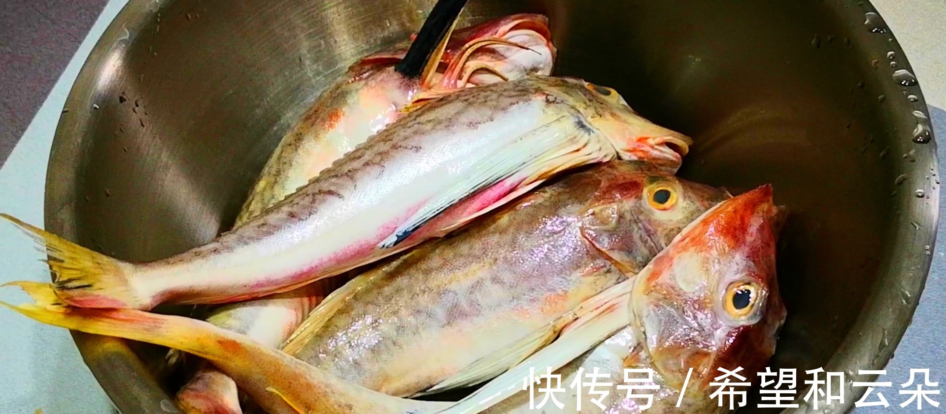 入冬了，多给家人做鱼吃，高蛋白低脂肪，刺少肉多营养高，真香！