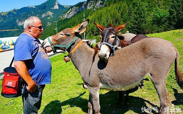 列支敦士登|普奥战争中的幽默小国，派出80名士兵参战，战争结束回国81人