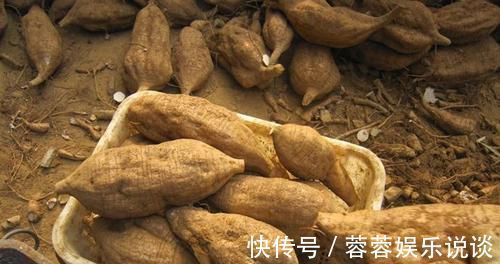 栀子苷|痛风尿酸不降,关节组织被“侵蚀”,5种植物泡水喝,尿酸悄悄走