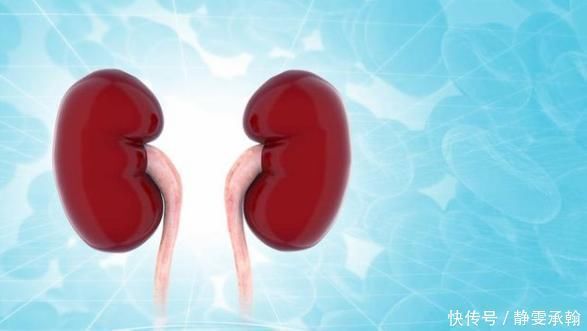 黄芪|黄芪和它很“投缘”，坚持泡水喝，血管畅通，肝肾或给你“点赞”