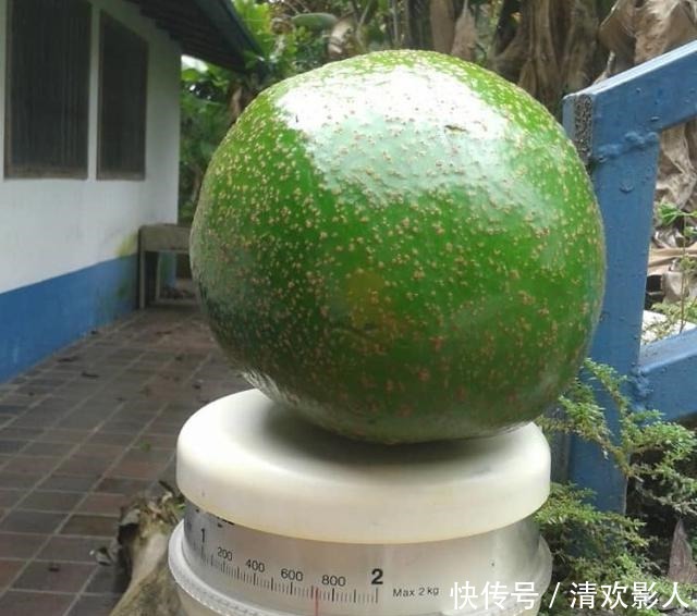 吃牡蛎吃出珍珠!专属于吃货的幸运时刻!