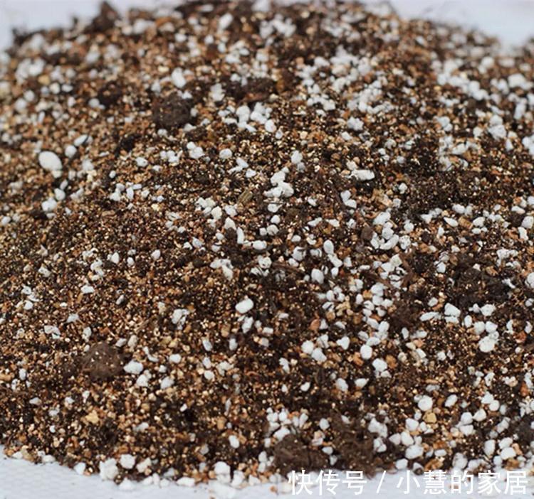 多肉加入这个天然有机肥后，保准多肉美肥美肥的