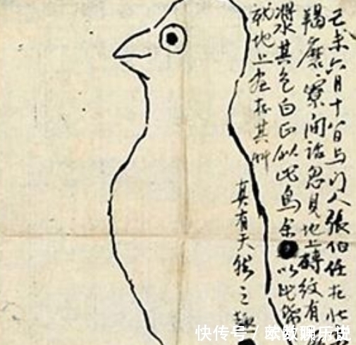 儿童画!齐白石早年画一只鸟,遭网友嘲笑:这是儿童画?专家:放大看