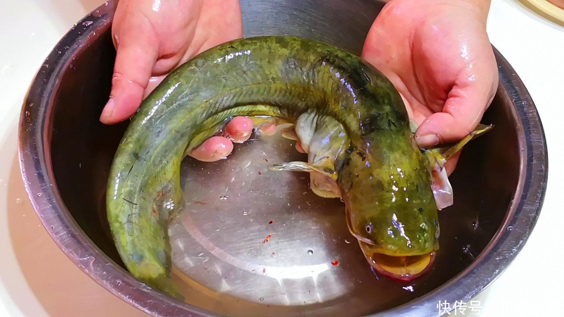 味道|鲶鱼好吃有诀窍,做好关键2步,鲶鱼土腥味全无,味道特别鲜美
