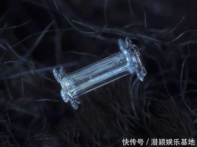 他用8个冬天拍下雪花的样子，每一朵都如此惊艳！