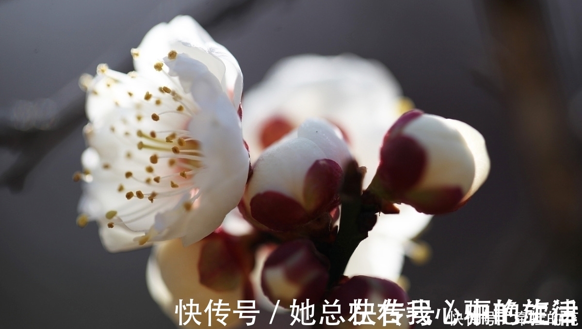 相思!这首词写出了最美的相思,结尾二句,更是妙不可言