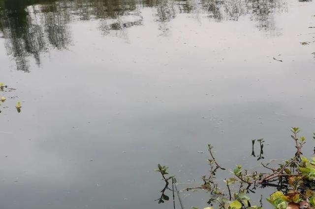 钓鱼中的“黑话”知多少?能听懂10个以上的是老钓手