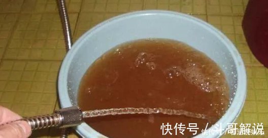 植物|比“雨水”浇花还好，这种水家家有，浇花不用施肥，百利无一害