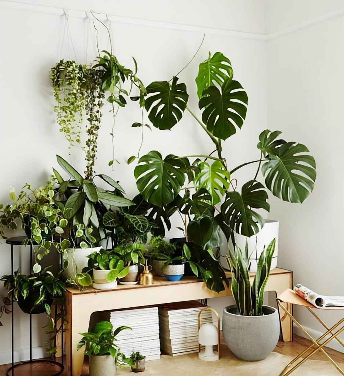 装修|新房装修好不要着急入住,切记要做好4步,别因为着急而忽视健康