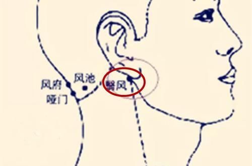  至少|脖子上有一条大筋，捏一捏至少可调37种疾病