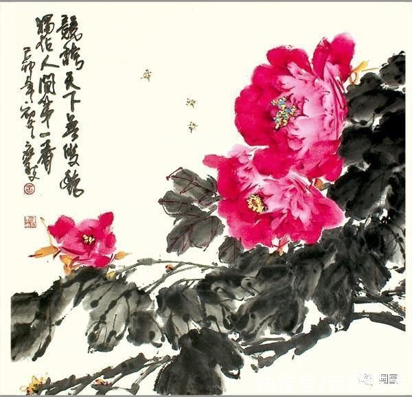 花鸟画！小写意牡丹画，美醉了