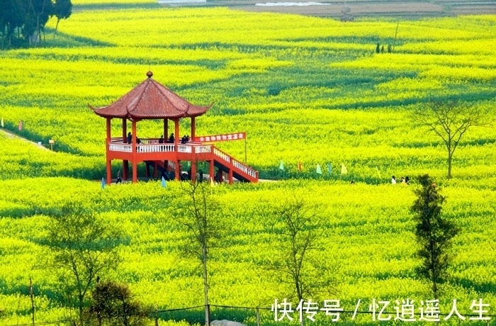 桃花|9月17日到月末，四生肖生活甜蜜，桃花盛开，好运上涨