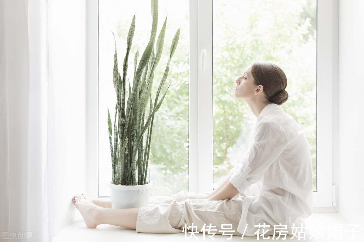 浇水|养虎皮兰，用6个简单的小技巧，1年能长2米高，开花满盆