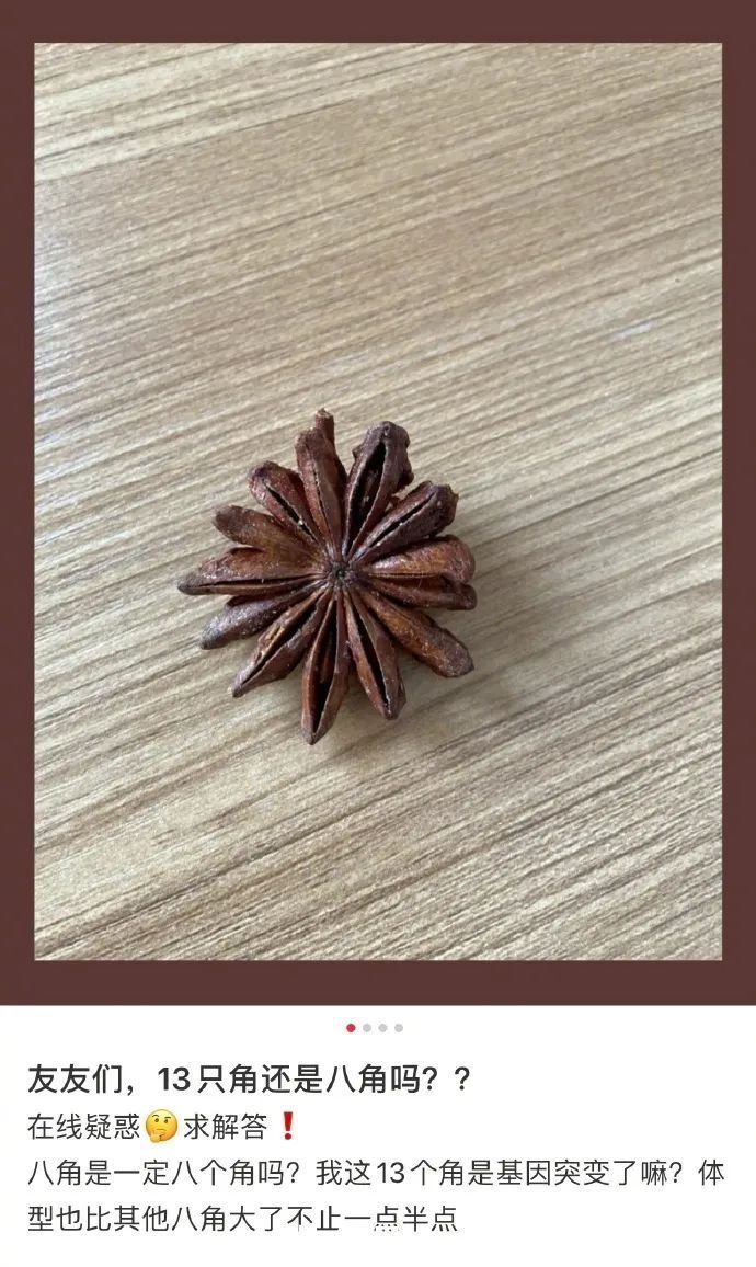 |【精彩段子】哈哈哈哈哈!军训前后的对比……