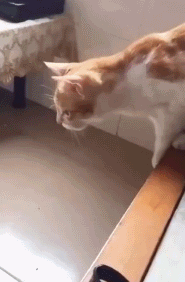 |搞笑GIF段子:老妈抱怨手机用了好几年了