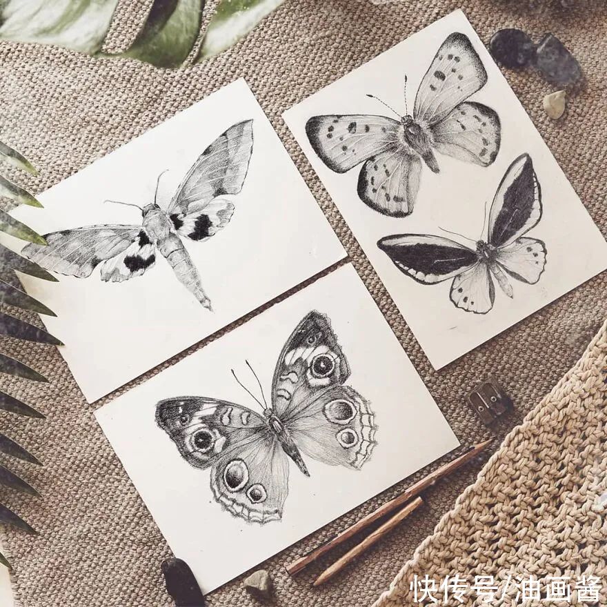 素描@艺术家公开自己的速写本,风格化的动物素描,?个个惹人爱