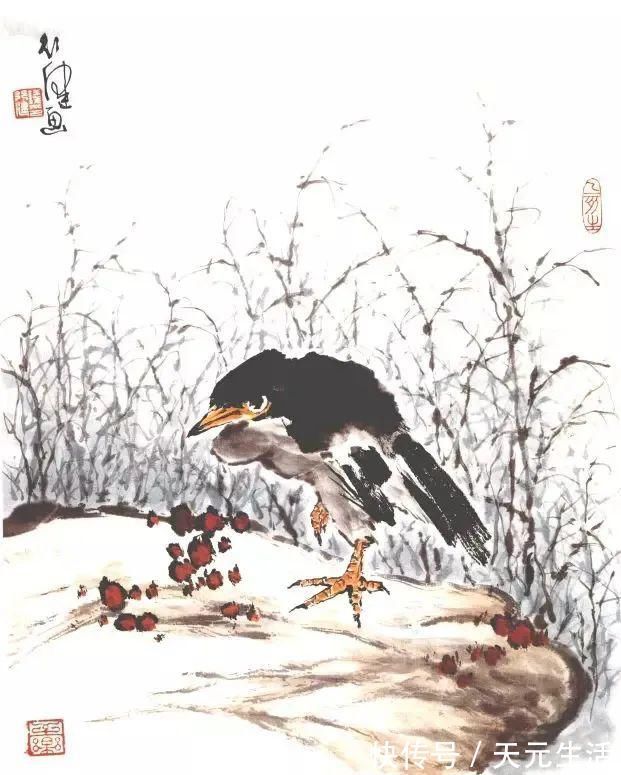 花鸟画@他的师父是海派小写意花鸟画第一人江寒汀,其作品自然也不差