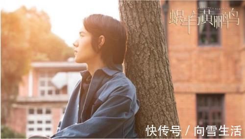 惹怒何炅，辱骂女团成员，出道四年只有四部作品，他还有机会吗？