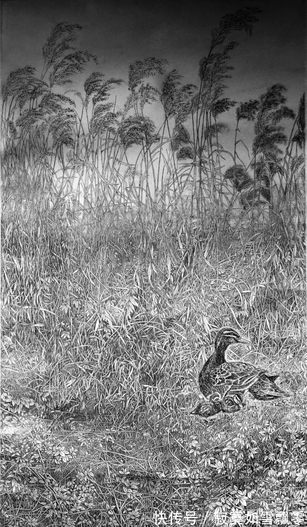 于建华&一个江南女子的山水画,全是北方的山北方的水,气势不凡!