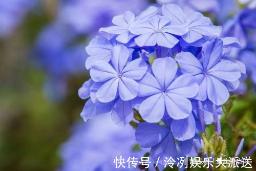 乖巧|阴历哪个月出生的孩子，聪慧过人，会替父母分忧解难，大有出息